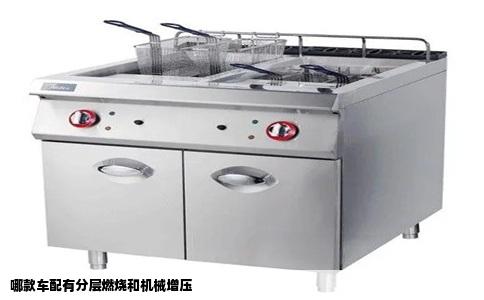 哪款车配有分层燃烧和机械增压