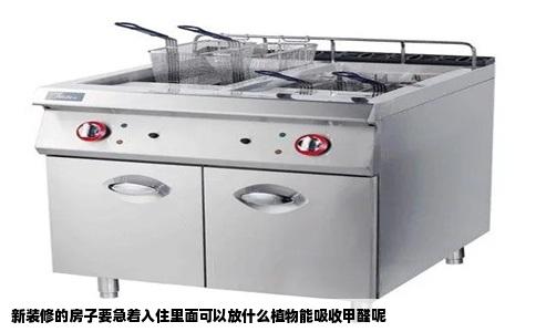 新装修的房子要急着入住里面可以放什么植物能吸收甲醛呢