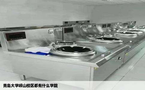 青岛大学崂山校区都有什么学院