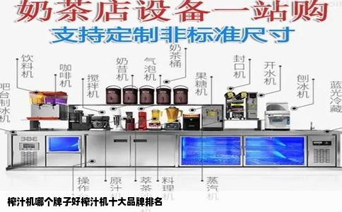 榨汁机哪个牌子好榨汁机十大品牌排名