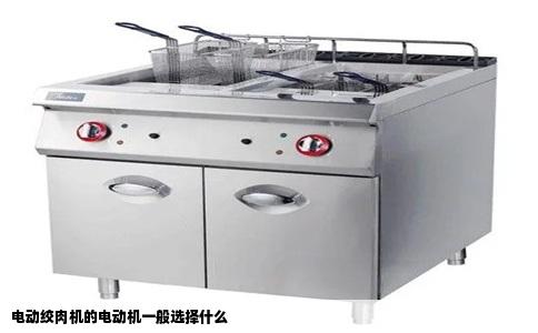 电动绞肉机的电动机一般选择什么