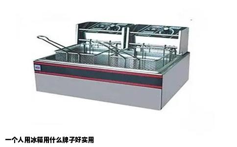一个人用冰箱用什么牌子好实用