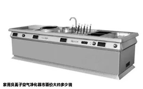 家用负离子空气净化器市面价大约多少钱