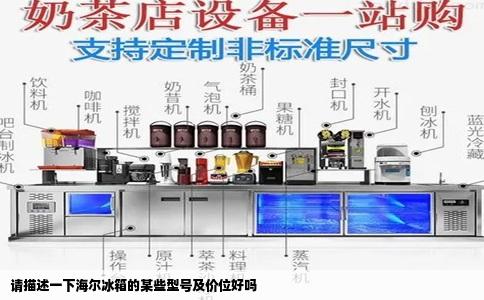 请描述一下海尔冰箱的某些型号及价位好吗