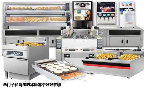 西门子和海尔的冰箱哪个好好在哪
