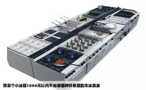 想买个小冰箱1000元以内不知道哪种好希望能冻冰淇淋