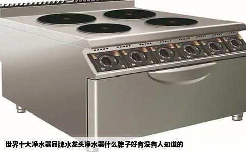 世界十大净水器品牌水龙头净水器什么牌子好有没有人知道的