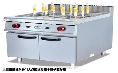 大家给说说双开门大点的冰箱哪个牌子的好用