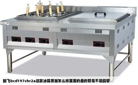 新飞bcd197chr2a这款冰箱质量怎么样里面的盘的管是不是铜管