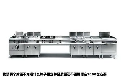 我想买个冰箱不知道什么牌子便宜并且质量还不错我想在1000左右买