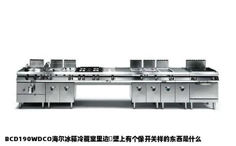 BCD190WDCO海尔冰箱冷藏室里边旳壁上有个像开关样的东西是什么