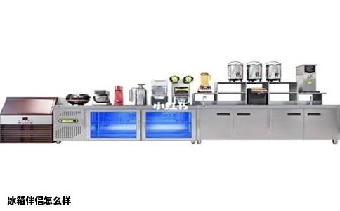 冰箱伴侣怎么样