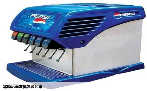 冰箱后面发臭怎么回事