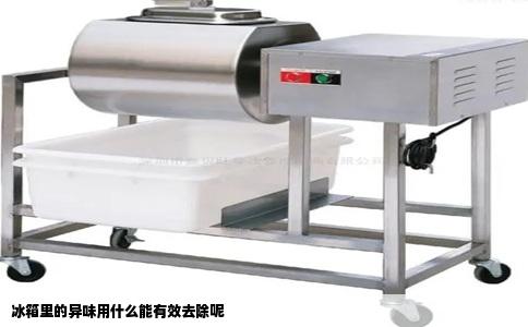 冰箱里的异味用什么能有效去除呢