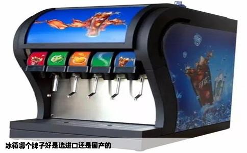 冰箱哪个牌子好是选进口还是国产的