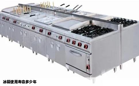 冰箱使用寿命多少年