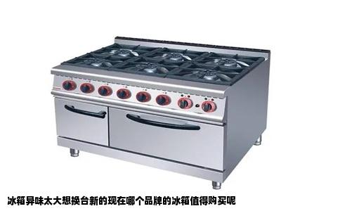 冰箱异味太大想换台新的现在哪个品牌的冰箱值得购买呢