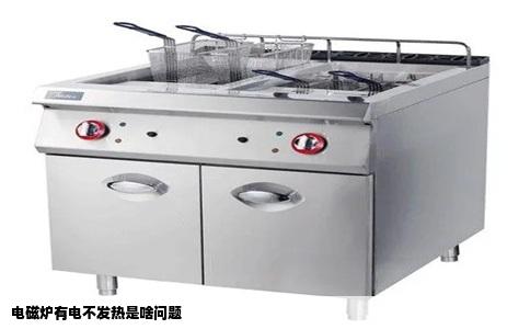 电磁炉有电不发热是啥问题
