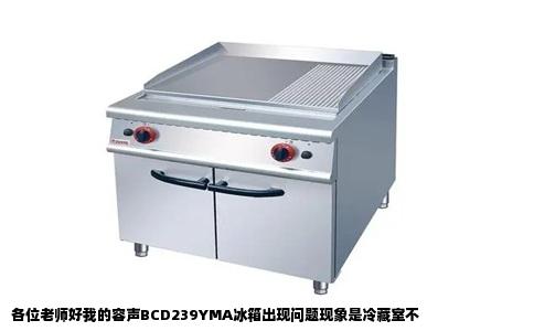 各位老师好我的容声BCD239YMA冰箱出现问题现象是冷藏室不