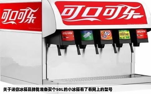 关于迷你冰箱品牌我准备买个50L的小冰箱看了看网上的型号