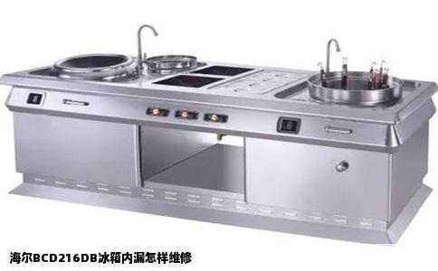 海尔BCD216DB冰箱内漏怎样维修