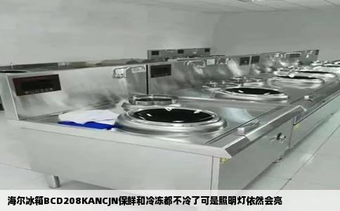 海尔冰箱BCD208KANCJN保鲜和冷冻都不冷了可是照明灯依然会亮