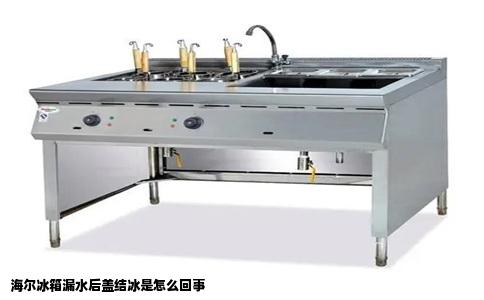 海尔冰箱漏水后盖结冰是怎么回事