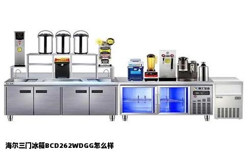 海尔三门冰箱BCD262WDGG怎么样