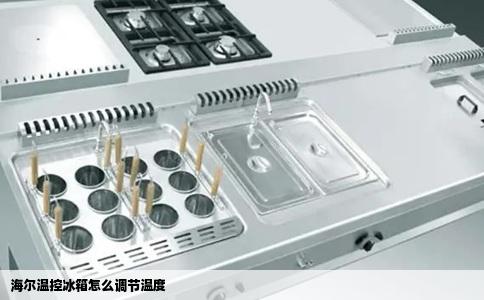 海尔温控冰箱怎么调节温度