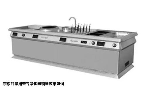 京东的家用空气净化器销售效果如何