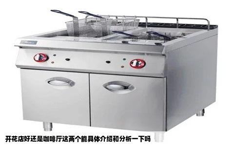 开花店好还是咖啡厅这两个能具体介绍和分析一下吗