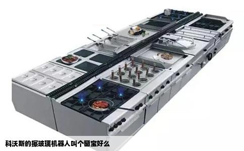 科沃斯的擦玻璃机器人叫个窗宝好么