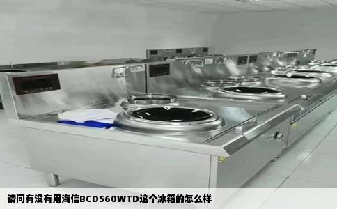 请问有没有用海信BCD560WTD这个冰箱的怎么样