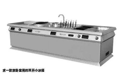 求一款放卧室用的双开小冰箱