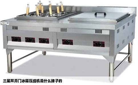 三星双开门冰箱压缩机是什么牌子的