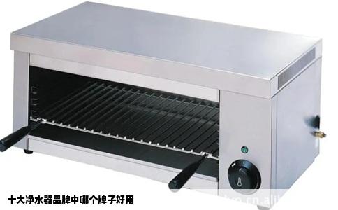 十大净水器品牌中哪个牌子好用