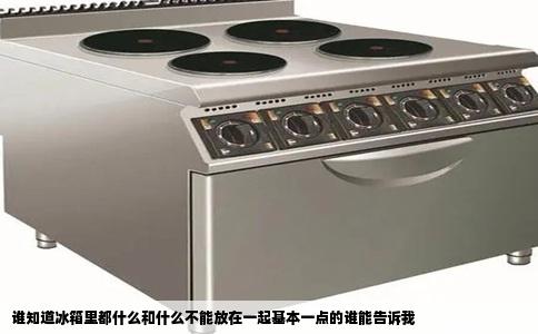 谁知道冰箱里都什么和什么不能放在一起基本一点的谁能告诉我