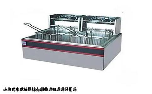 速热式水龙头品牌有哪些谁知道吗好用吗