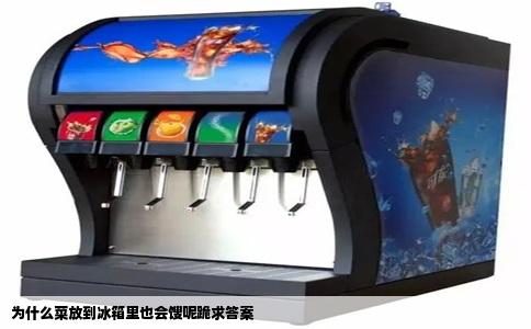 为什么菜放到冰箱里也会馊呢跪求答案