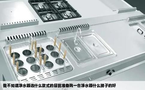 我不知道净水器选什么款式的目前准备购一台净水器什么牌子的好