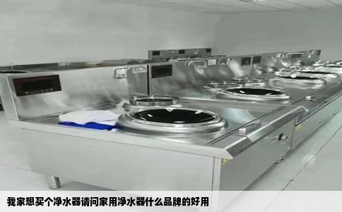我家想买个净水器请问家用净水器什么品牌的好用