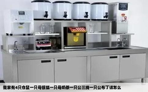 我家有4只仓鼠一只母银狐一只母奶茶一只公三线一只公布丁该怎么