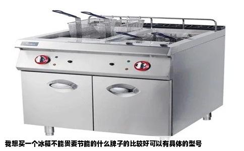 我想买一个冰箱不能贵要节能的什么牌子的比较好可以有具体的型号