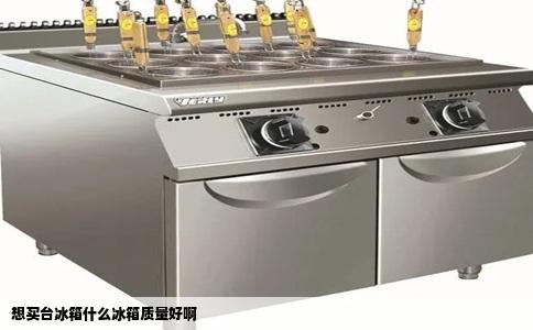 想买台冰箱什么冰箱质量好啊