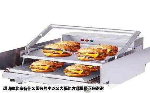 想请教北京有什么著名的小吃么大概地方哪里最正宗谢谢
