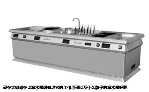 现在大家都在谈净水器想知道它的工作原理以及什么牌子的净水器好呢