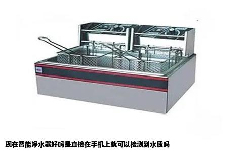 现在智能净水器好吗是直接在手机上就可以检测到水质吗