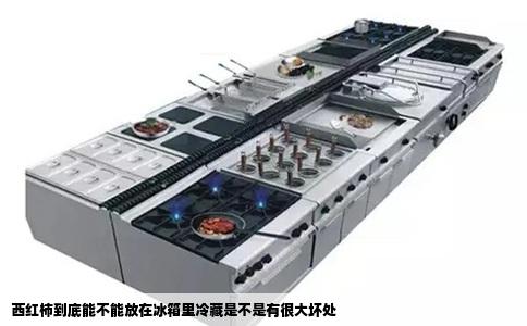 西红柿到底能不能放在冰箱里冷藏是不是有很大坏处