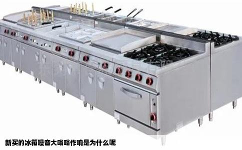 新买的冰箱噪音大嗡嗡作响是为什么呢