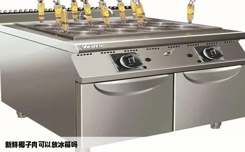 新鲜椰子肉可以放冰箱吗